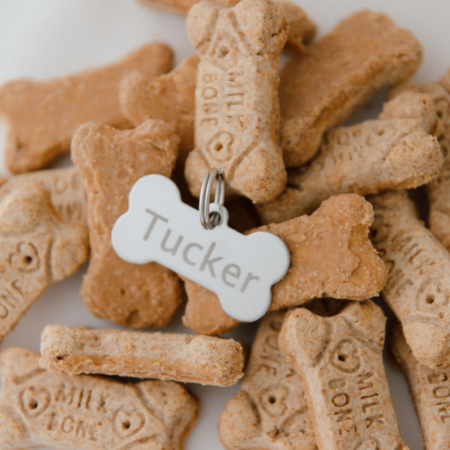 Engraved Dog Bone Collar Tag