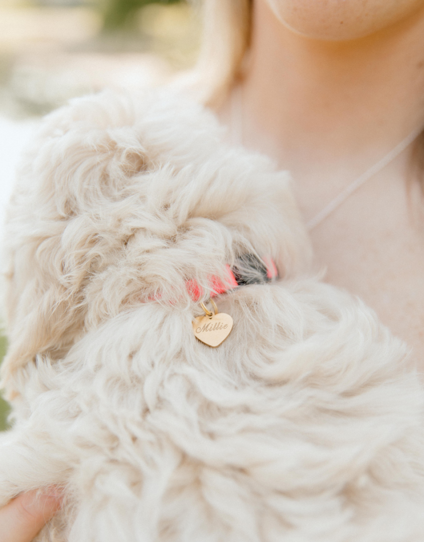 Engraved Small Heart Collar Tag | Gifts For Pet Lovers